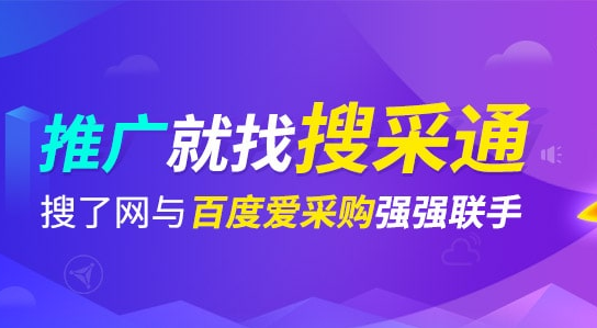 广西SEO外包公司搜了网络科技股份有限公司介绍