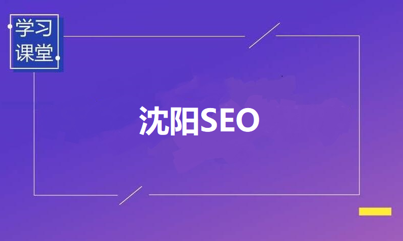 沈阳SEO外包服务德泰诺网站优化公司