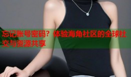 忘记账号密码？体验海角社区的全球社交与资源共享