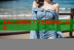 海角社区哪里去了 社区服务互动一站通