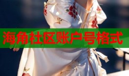 海角社区账户号格式