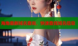 海角最新域名查询，快速查找域名信息
