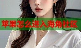 苹果怎么进入海角社区