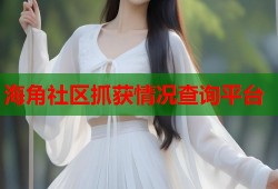 海角社区抓获情况查询平台