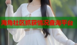 海角社区抓获情况查询平台