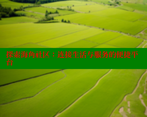 探索海角社区：连接生活与服务的便捷平台