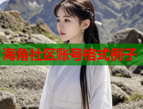 海角社区账号格式例子