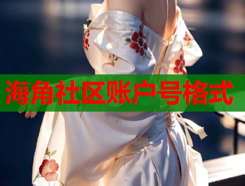 海角社区账户号格式