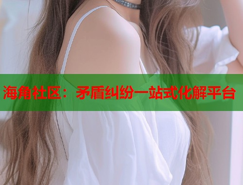 海角社区：矛盾纠纷一站式化解平台