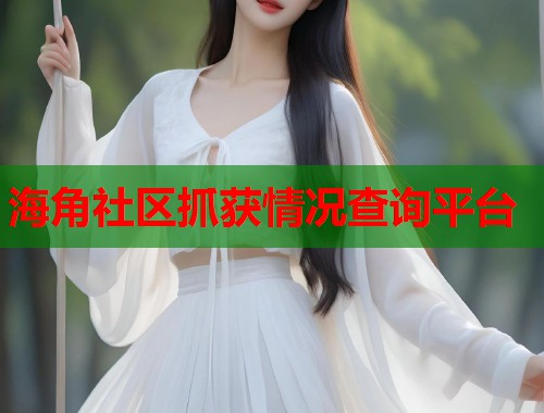海角社区抓获情况查询平台