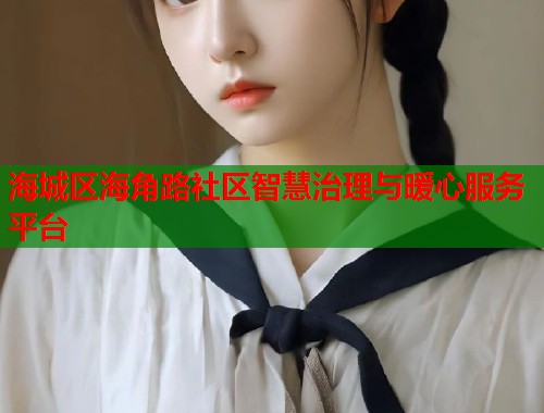 海城区海角路社区智慧治理与暖心服务平台