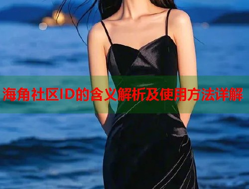 海角社区ID的含义解析及使用方法详解