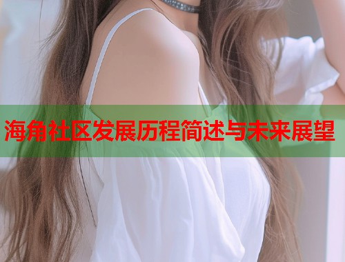 海角社区发展历程简述与未来展望