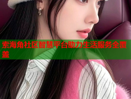 索海角社区智慧平台助力生活服务全覆盖