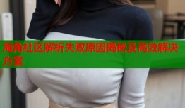 海角社区解析失败原因揭秘及高效解决方案