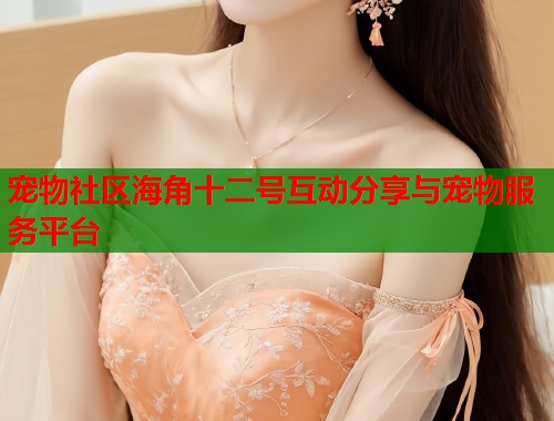 宠物社区海角十二号互动分享与宠物服务平台